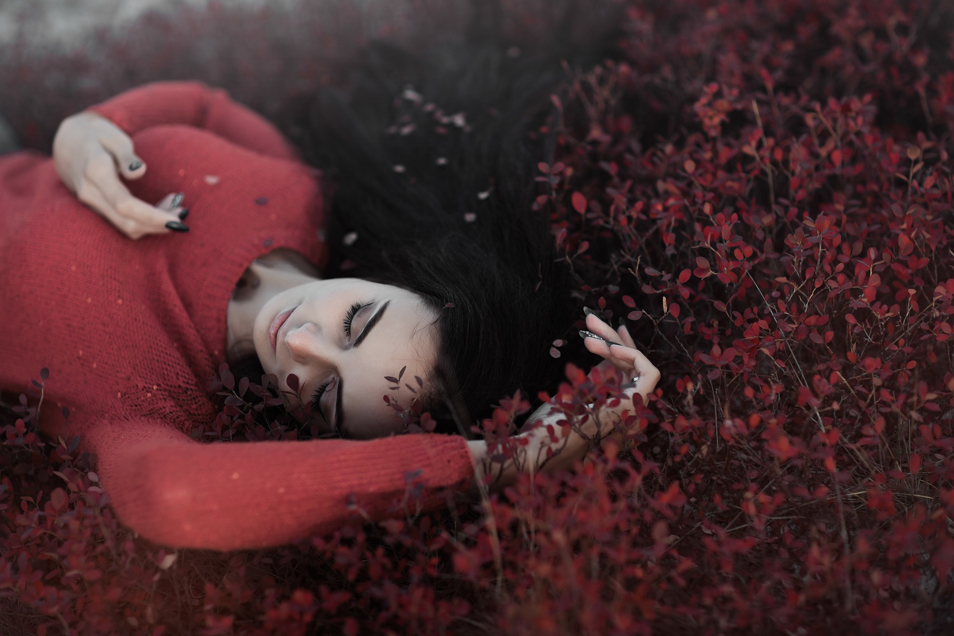 red-2605274_1920