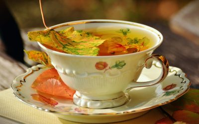 Sekretariat nieczynny 10 listopada