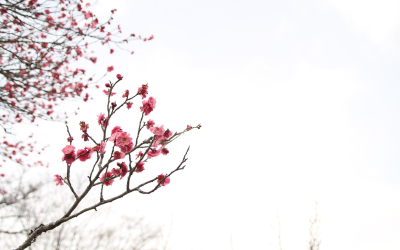 Zmiana opłat za wizyty